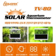 아쿠아렉스 TV-80 태양광 온도계