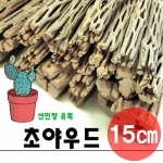 초야우드 15cm / 선인장유목 ,초야유목