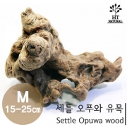 세틀 오푸와 유목 M (15~25cm)