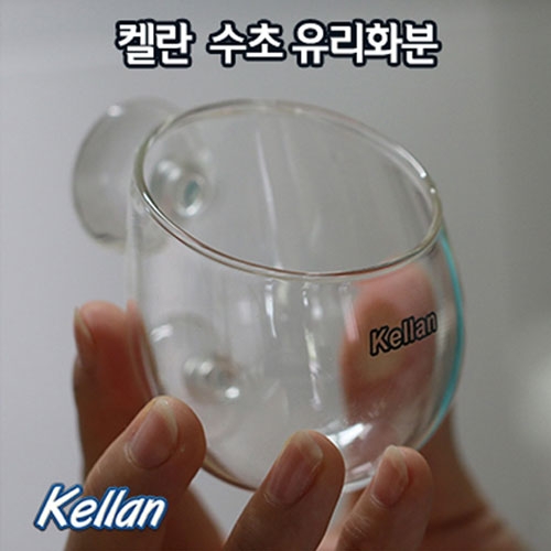 켈란 수초 유리화분 K028